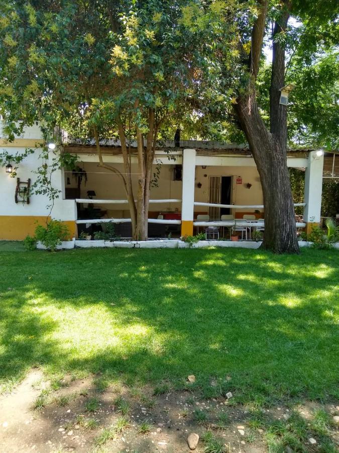 Finca El Naranjo Sevilla Exteriör bild